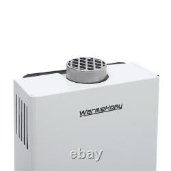 10-20kw 6 8 10L Instant Hot Water Heater Gas Boiler Tankless Water Boiler Camp