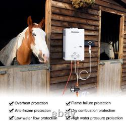 10L Portable Tankless Gas Water Heater LPG Propane Boiler Outdoor Camping Shower