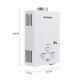 12kw Tankless 6l Lpg Propane Instant Boiler Horse Camp Shower Gas Water Heater